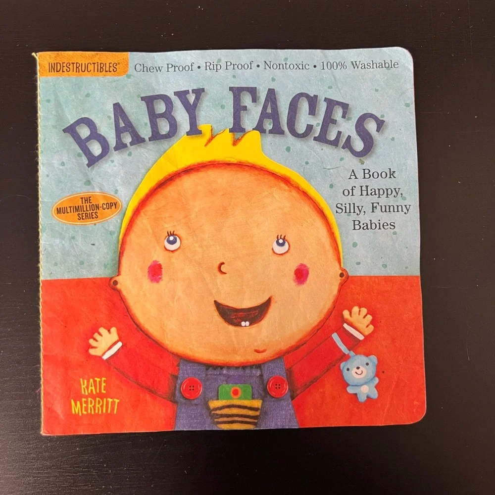 A LOT  of 10 INDESTRUCTIBLES- Books...AMAZING FOR TEETHING! A Serious Must Have! - Picture 12 of 12